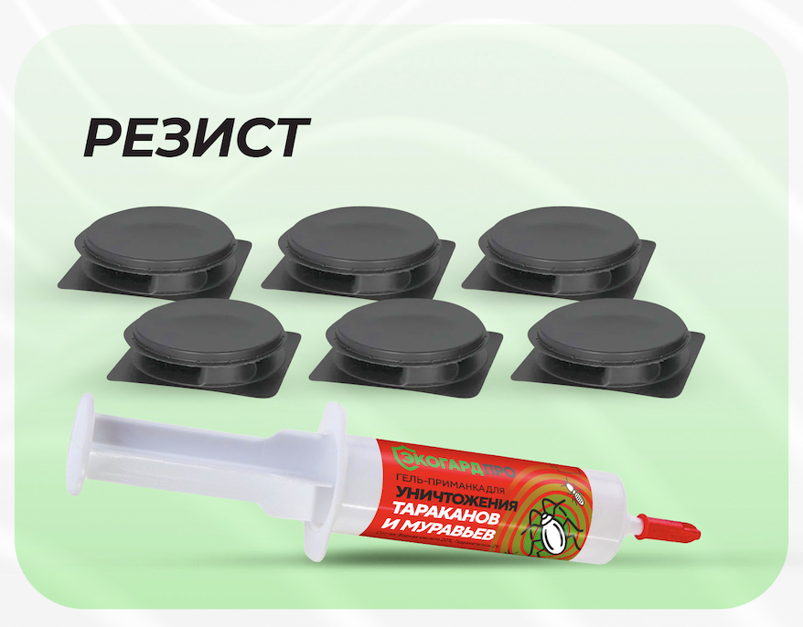 Резист