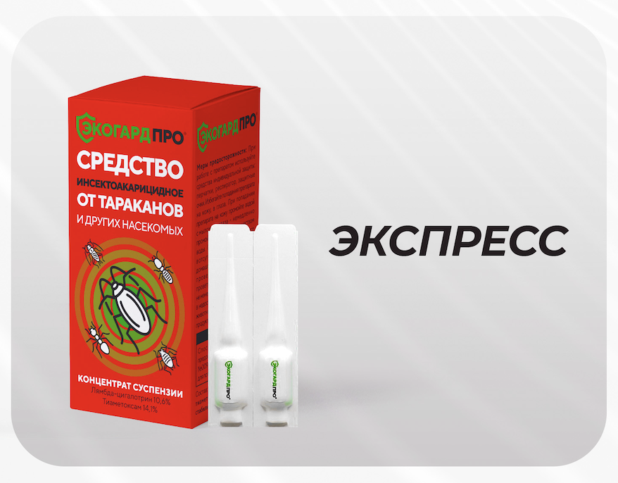 Экспресс