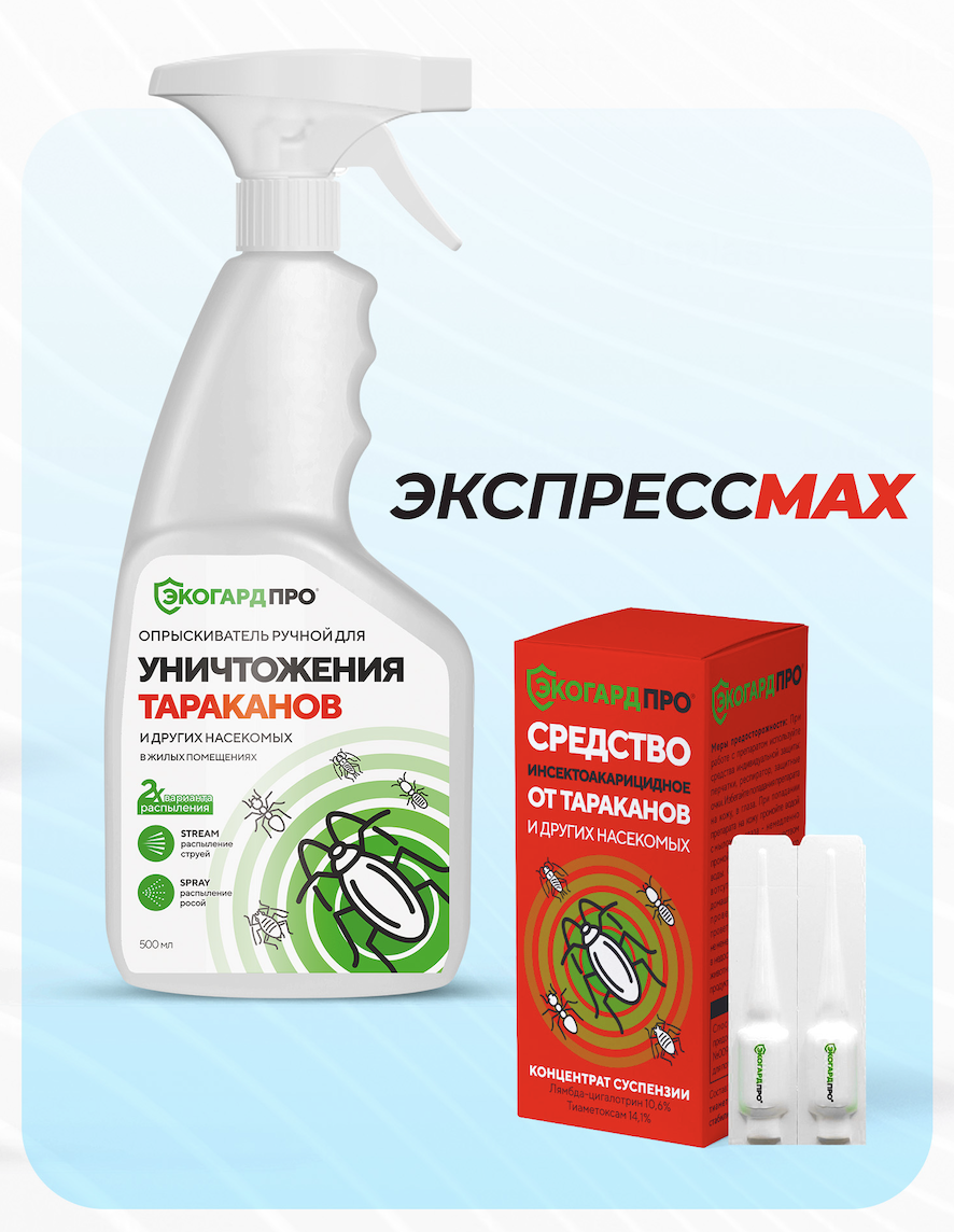 ЭкспрессМАХ